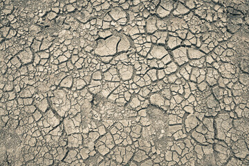 Landscape ground cracks drought crisis environment background.