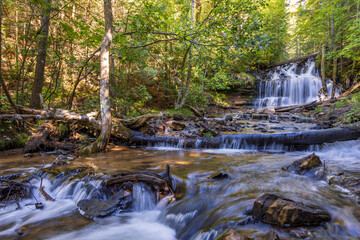 waterfall in the forest