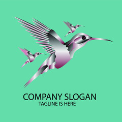 Vector icon of a flying bird logo. Designs for illustrations, identities, web, symbols, cards, templates.