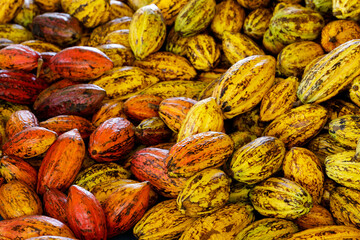 Cocoa beans and cocoa pod on a wooden surface.