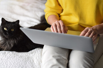 Woman in yellow sweater sitting on a bed with a black cat and using laptop computer