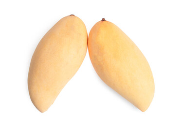 Yellow ripe mango ( Nam Dok Mai) of Thailand isolated on white background.