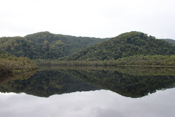 Fototapeta na wymiar Reflections, Gordon River, Tasmanian Wilderness World Heritage Area.
