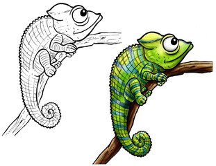 A Chameleon Caricature Full Color