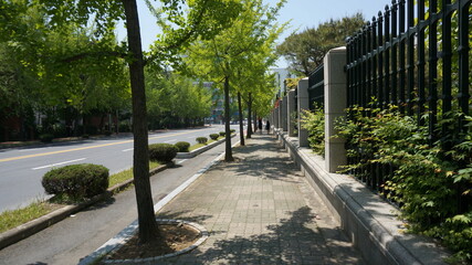 서울길거리