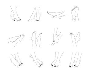 Female feet outline isolated on white background. Pedicure concept. Vector Illustration of elegant woman legs in a trendy lineart style. Design element for web icons, nail studio or spa salon logo.