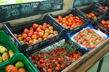 Boxes with ripe various tomatoes in grocery store