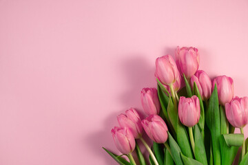 Pink tulips flowers on pink background. Card for Mothers day, 8 March, Happy Easter, Valentines Day, Birthday. Waiting for spring. Greeting card. Flat lay, top view, Copy space for text