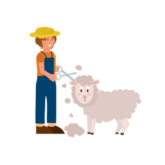 Vector illustration of Farm animals. A farmer shears livestock. Breeding and caring for a Sheep. Vector illustration