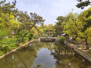 Fototapeta na wymiar Japan's view at spring time