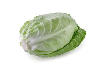 Fototapeta premium Fresh chinese cabbage isolated on a white background.