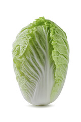 Fototapeta premium Fresh chinese cabbage isolated on a white background