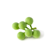 Pea Eggplants or turkey berry isolated over white background