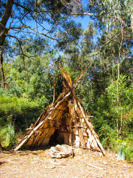 A humpy surrounded by bush plants. This temporary shelter is traditionally used by indigenous people of Australia. The word humpy comes from Jagera language. It is called wurley in Kaurna language.