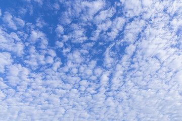 Fototapeta na wymiar Blue sky background with tiny clouds for design