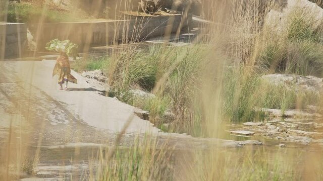 Omani Arab Woman carrying crops on her head near Wadi Creek - Wide Static shot