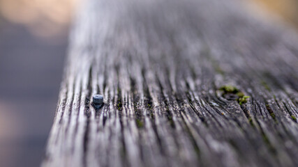 Old nail sticking out of an old worn wooden plank. Macro shot with shallow depth of field
