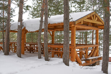 A gazebo made of logs in a pine forest.
