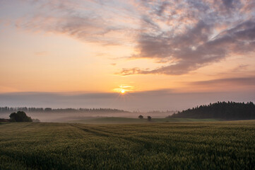夏の美瑛町美馬牛の日の出の風景