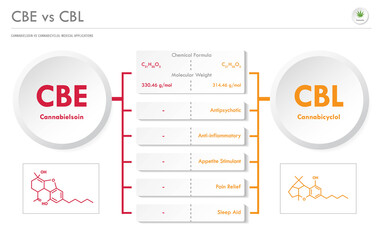 CBE vs CBL, Cannabielsoin vs Cannabicyclol horizontal business infographic illustration about cannabis as herbal alternative medicine and chemical therapy, healthcare and medical vector.