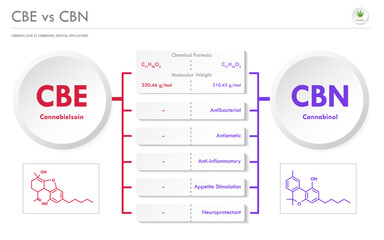 CBE vs CBN, Cannabielsoin vs Cannabinol horizontal business infographic illustration about cannabis as herbal alternative medicine and chemical therapy, healthcare and medical vector.