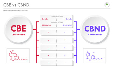 CBE vs CBND, Cannabielsoin vs Cannabinodiol horizontal business infographic illustration about cannabis as herbal alternative medicine and chemical therapy, healthcare and medical vector.