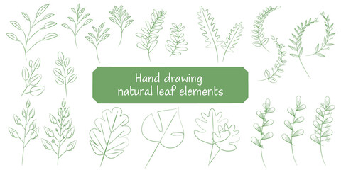 Set of natural leaf elements. green leaves and branches illustration collection for ecology and natural design. natural line icons. Vector illustration. リーフイラスト、葉、枝、グリーンアイコンイラスト