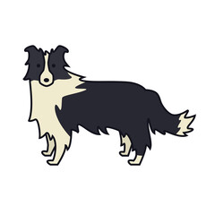 Border Collie Farm animals Line vector illustration Dog collection Isolated object