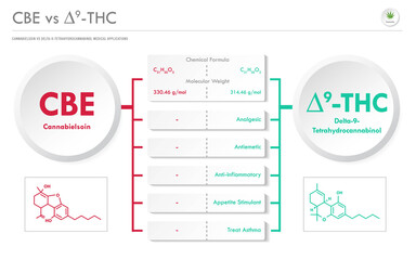 CBE vs ∆9-THC, Cannabichromene vs Delta 9 Tetrahydrocannabinol horizontal business infographic illustration about cannabis as herbal alternative medicine and chemical therapy, healthcare vector