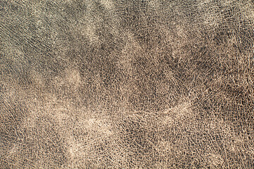 Gray textured leather for design template and background.Shoe industry