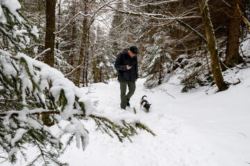 Wandern im Wald im Schnee I