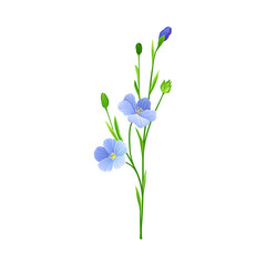 Fototapeta na wymiar Blue Common Flax or Linseed Cultivated Flowering Plant Specie Vector Illustration