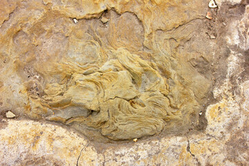 Naklejka premium Beautiful texture of yellow stone.