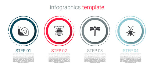 Set Snail, Larva insect, Dragonfly and Cockroach. Business infographic template. Vector