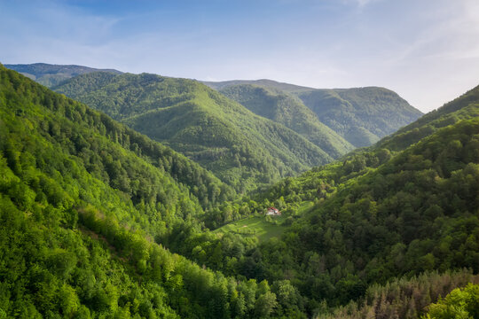 Aerial view with spring green forests and hills overgrown with lush vegetation and a small hut nestled between them, Balkan Mountains, Bulgaria