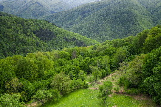 Aerial view with spring green forests and hills overgrown with lush vegetation and a small hut nestled between them, Balkan Mountains, Bulgaria