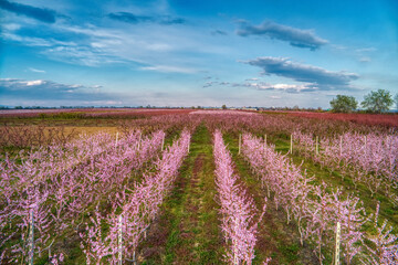 Fototapety na wymiar - Fototapeta24.pl
