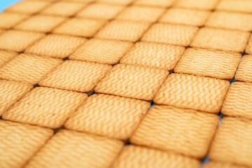 A group of sugar cookies laid in rows. Can be used as a background.