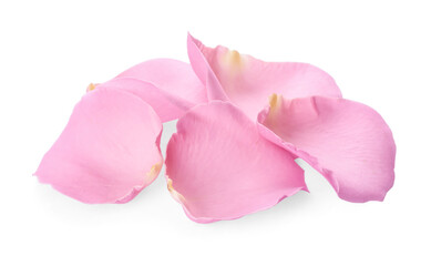 Beautiful pink rose petals on white background