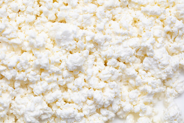 Fresh milk curd as background.