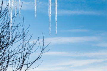 Image with icicles.