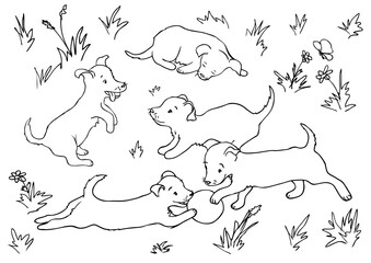 Vector coloring page with five puppies playing on the grass