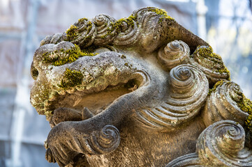 代々木八幡宮　狛犬