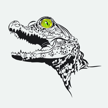Vector image of a small crocodile. Portrait of a reptile with a yellow eye on a white background