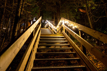 Escalier dans la forêt tard le soir éclairé par une rangée de lumières