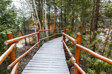 Chemin dans la forêt une journée d'automne pendant la première neige de la saison avec lumière du jour