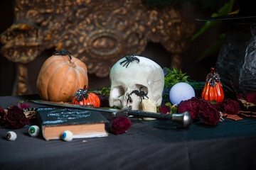 A human skull lies on a table next to a book with a pentagram, pumpkin and herbs. Altar concept for...