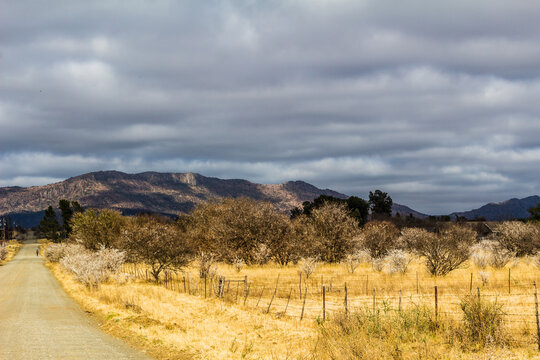 South African landscape - Dry dusty rural Eastern Cape image with lonely dirt road and cloud sky - dappled sunlight on mountains
