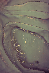 Alcohol ink art.Mixing liquid paints. Modern, abstract colorful background, wallpaper. Marble texture.Translucent colors