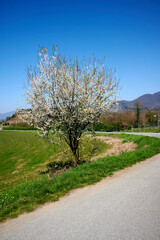 Obraz premium monterotondo